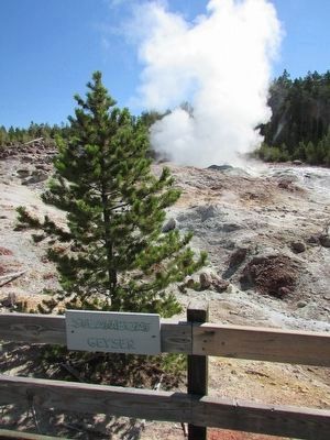 Steamboat Geyser image. Click for full size.