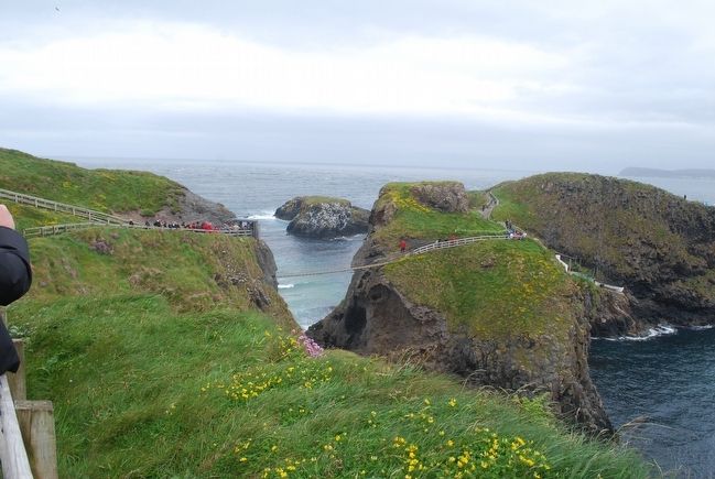 Carrick-a-Rede Rope Bridge image. Click for full size.