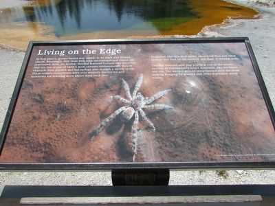 Living on the Edge Marker image. Click for full size.