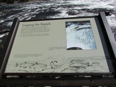 Leaping the Rapids Marker. Click for full size. Leaping the Rapids Marker image. Click for full size.
