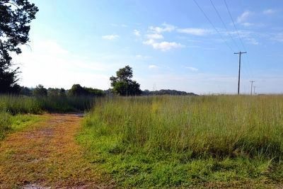 Battlefield Loop Trail between Stop 2 and Stop 3. Click for full size. Battlefield Loop Trail between Stop 2 and Stop 3 image. Click for full size.