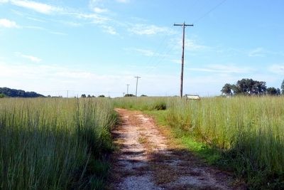 View to North Along Battlefield Loop Trail. Click for full size. View to North Along Battlefield Loop Trail image. Click for full size.