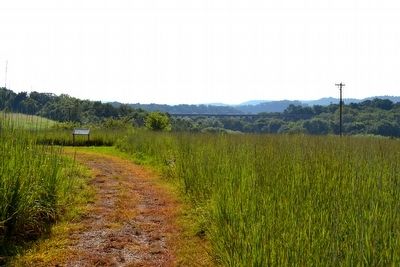 View to West from Battlefield Loop Trail. Click for full size. View to West from Battlefield Loop Trail image. Click for full size.