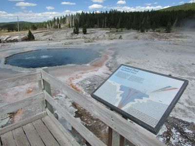 Crested Pool Marker. Click for full size. Crested Pool Marker image. Click for full size.