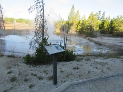 Marker at the Norris Geyser Basin image. Click for full size.