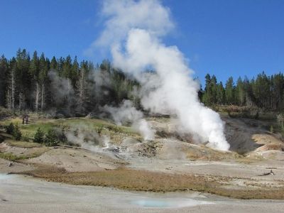 Norris Geyser Basin image. Click for full size.