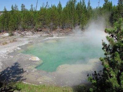 Emerald Spring. Click for full size. Emerald Spring image. Click for full size.