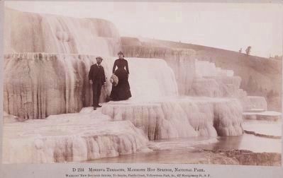 <i>Minerva Terraces, Mammoth Hot Springs, National Park</i> image. Click for full size.