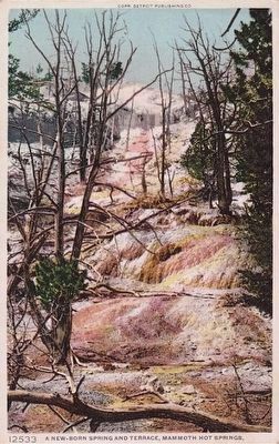 <i>A New-born Spring and Terrace, Mammoth Hot Springs</i> image. Click for full size.