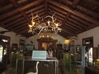 Inside the Fishing Bridge Museum. Click for full size. Inside the Fishing Bridge Museum image. Click for full size.