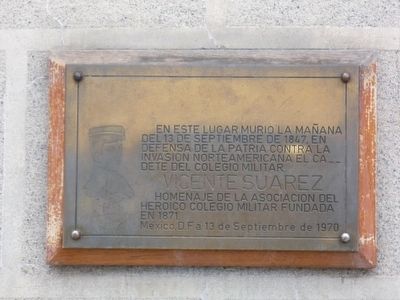 Vicente Suárez, Child Hero of Mexico Marker. Click for full size. Vicente Suárez, Child Hero of Mexico Marker image. Click for full size.