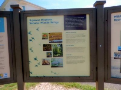 Supawna Meadows National Wildlife Refuge Marker image. Click for full size.