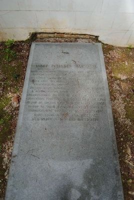 Jabez Pleiades Marshall Marker. Click for full size. Jabez Pleiades Marshall Marker image. Click for full size.