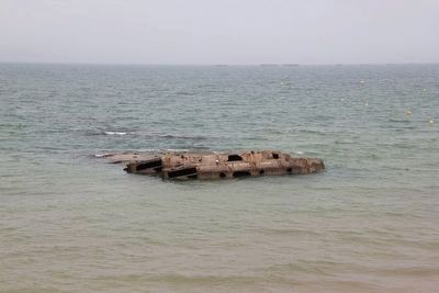 Concrete float near the beach. Click for full size. Concrete float near the beach image. Click for full size.
