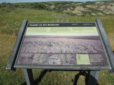 Invader on the Badlands Marker. Click for full size. Invader on the Badlands Marker image. Click for full size.