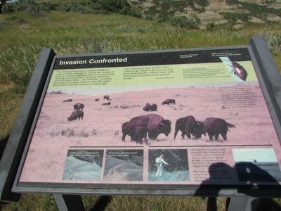 Invasion Confronted Marker image. Click for full size.