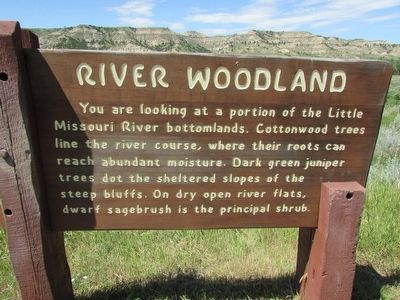 River Woodland Marker image. Click for full size.