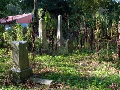Raleigh Cemetery. Click for full size. Raleigh Cemetery image. Click for full size.