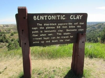Bentonitic Clay Marker image. Click for full size.
