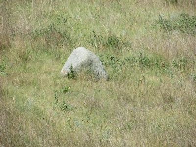 Glacial Boulder image. Click for full size.