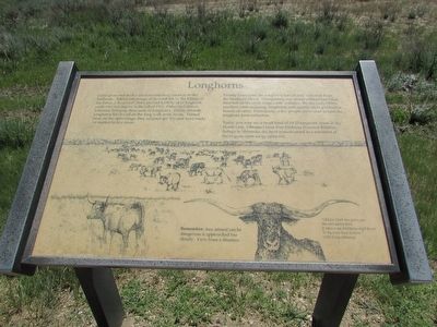 Longhorns Marker image. Click for full size.