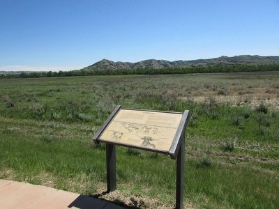 Longhorns Marker image. Click for full size.