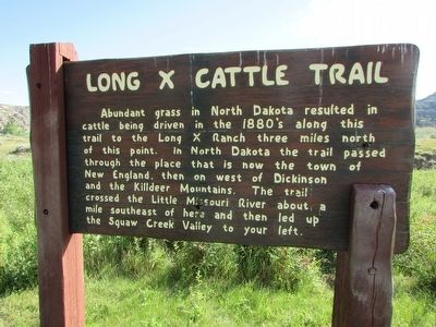 Long X Cattle Trail Marker image. Click for full size.