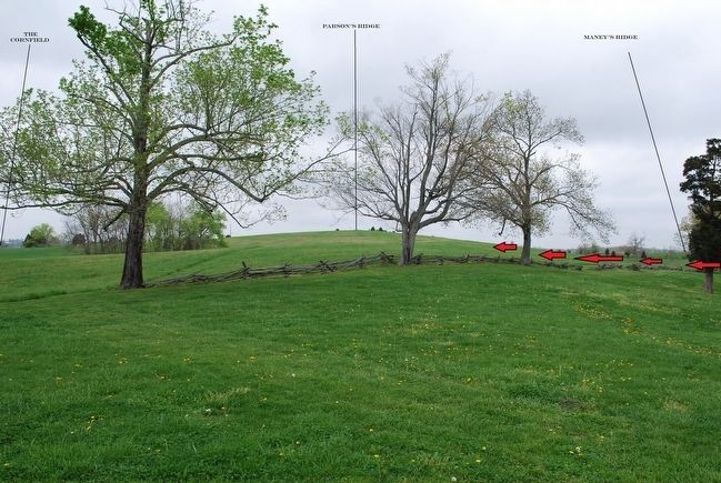 Parson's Ridge, Maney's Ridge & Attack, and The Cornfield. Click for full size. Parson's Ridge, Maney's Ridge & Attack, and The Cornfield image. Click for full size.