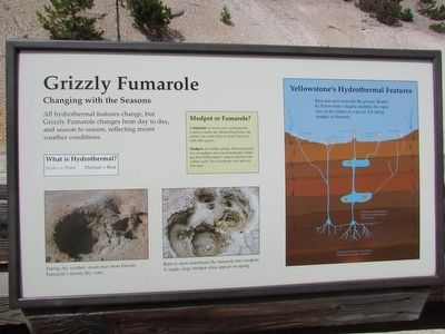 Grizzly Fumarole Marker image. Click for full size.