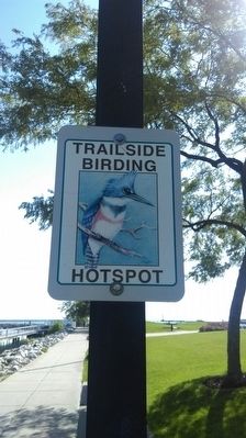 Trailside Birding Hotspot Sign. Click for full size. Trailside Birding Hotspot Sign image. Click for full size.