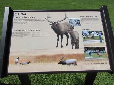 Elk Rut Marker image. Click for full size.