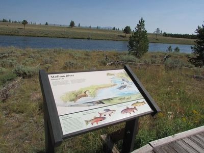 Madison River Marker image. Click for full size.