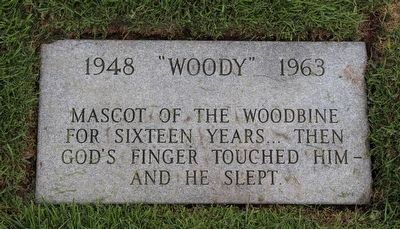 "Woody" Memorial Stone. Click for full size. "Woody" Memorial Stone image. Click for full size.