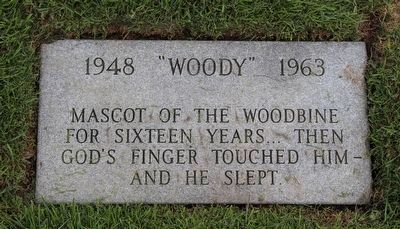 "Woody" Memorial Stone image. Click for full size.
