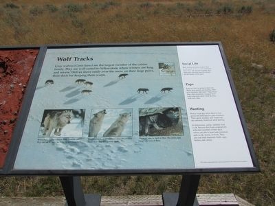 Wolf Tracks Marker image. Click for full size.