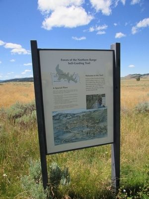 Northern Range Trail. Click for full size. Northern Range Trail image. Click for full size.