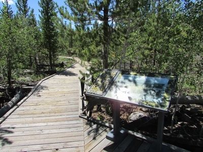 Trembling Aspens Marker. Click for full size. Trembling Aspens Marker image. Click for full size.