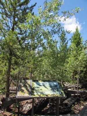 Trembling Aspens Marker. Click for full size. Trembling Aspens Marker image. Click for full size.