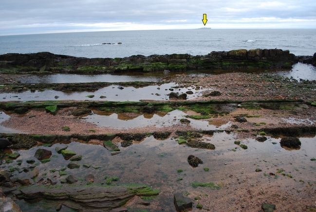 Anstruther Coast looking toward the Isle of May image. Click for full size.