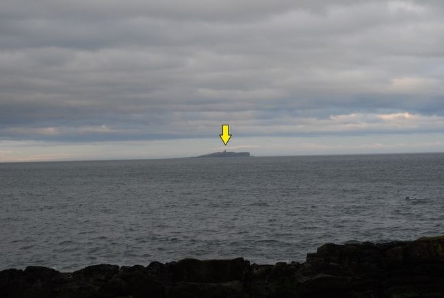 Isle of May. Click for full size. Isle of May image. Click for full size.