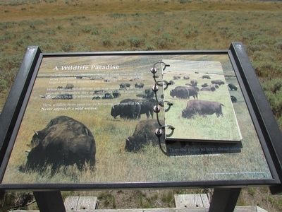A Wildlife Paradise Marker image. Click for full size.