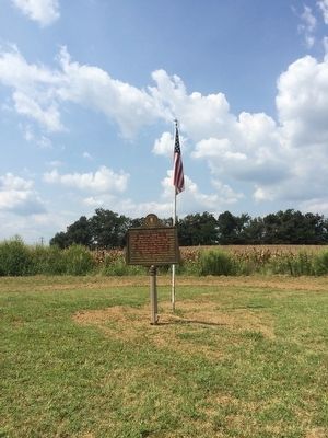 Marker and flag at road corner. image. Click for full size.