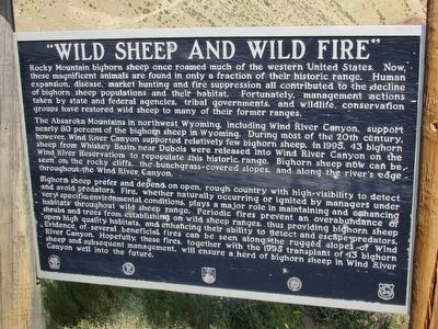 “Wild Sheep and Wild Fire” Marker. Click for full size. “Wild Sheep and Wild Fire” Marker image. Click for full size.