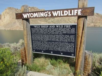 “Wild Sheep and Wild Fire” Marker. Click for full size. “Wild Sheep and Wild Fire” Marker image. Click for full size.