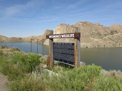 “Wild Sheep and Wild Fire” Marker. Click for full size. “Wild Sheep and Wild Fire” Marker image. Click for full size.