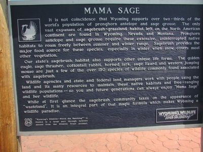 Mama Sage Marker. Click for full size. Mama Sage Marker image. Click for full size.