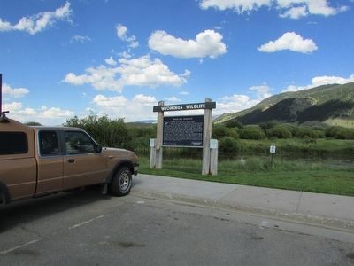 Wildland Romance Marker image. Click for full size.