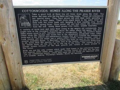 Cottonwoods: Homes Along the Prairie River Marker image. Click for full size.