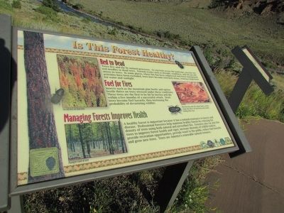 Is This Forest Healthy? Marker. Click for full size. Is This Forest Healthy? Marker image. Click for full size.
