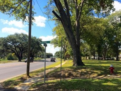 View of marker looking south on Bayou Drive. image. Click for full size.